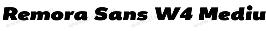 Remora Sans W4 Mediu字体转换